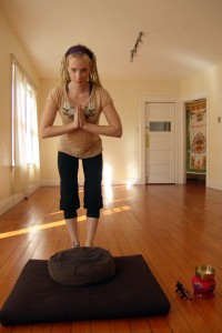 PIC 2 02BowToCushFrontView