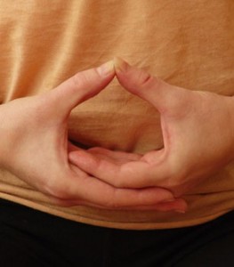 PIC 8 08CosmicMudra